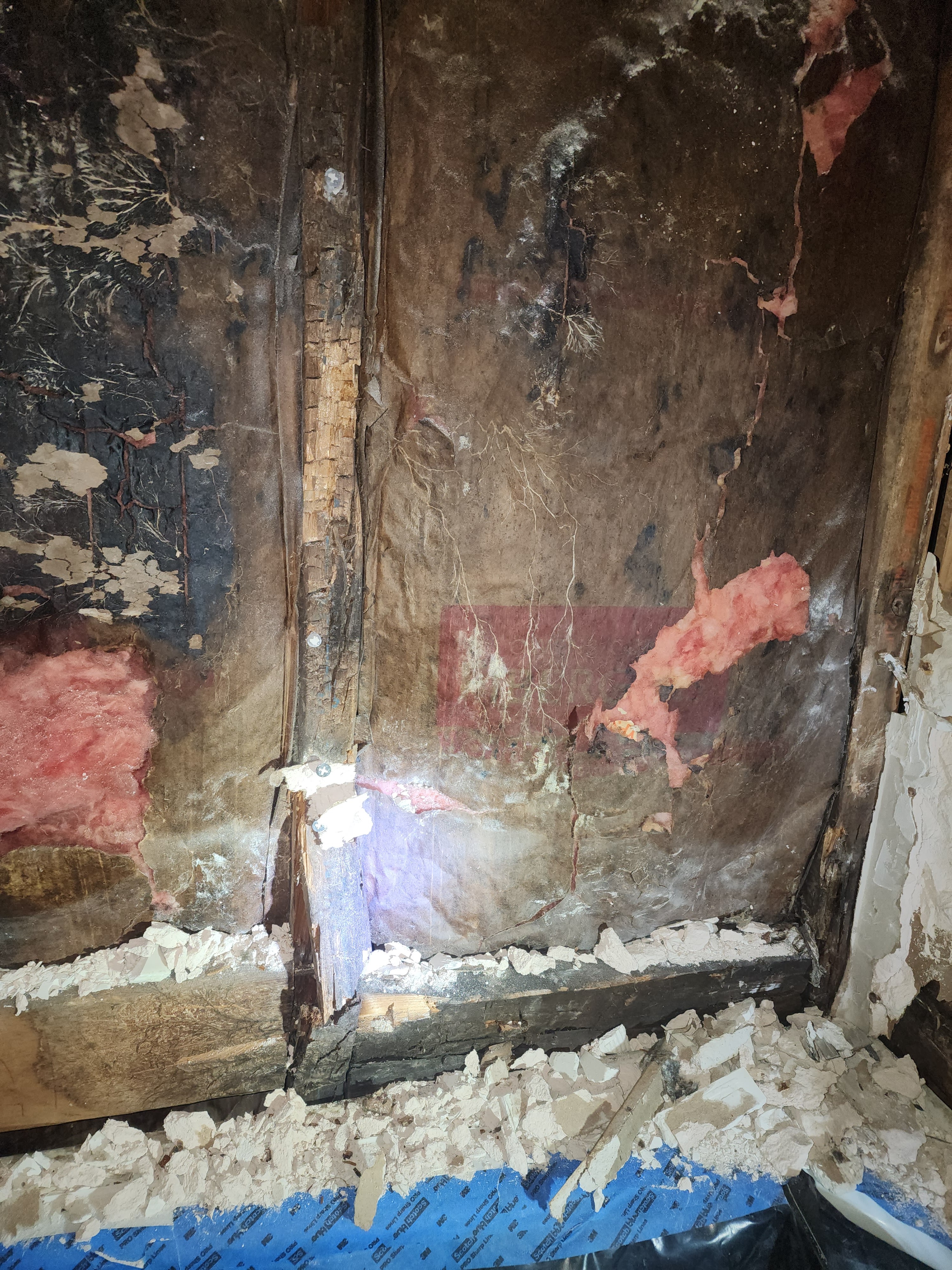 Seal Showers, Tubs, and Bathrooms Properly