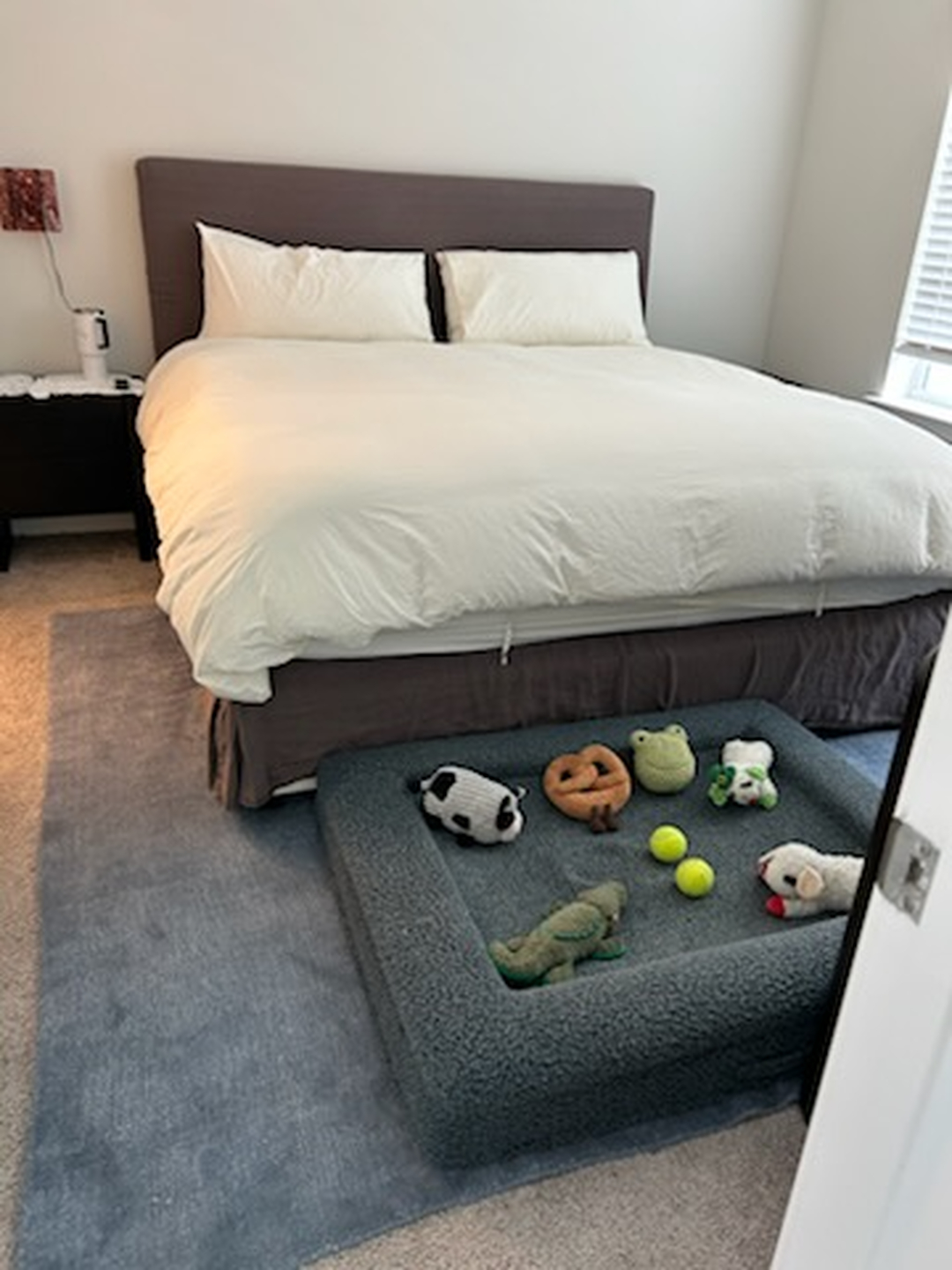 Give Carpets Focused Cleaning Attention