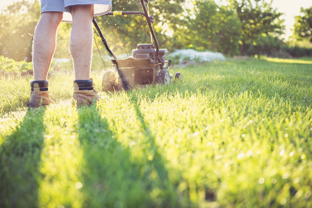 Consistent Care for Healthy Landscapes