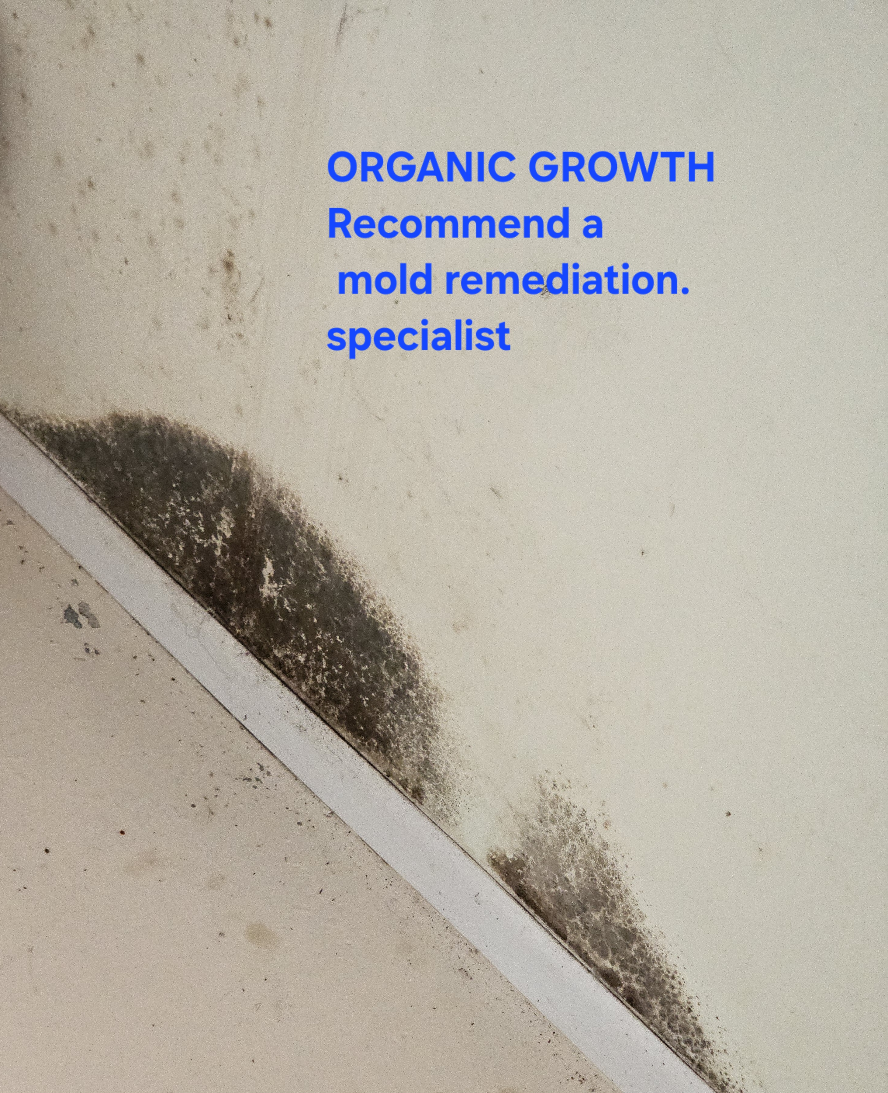 Detailed Inspections for Townhomes and Condos inspection photo
