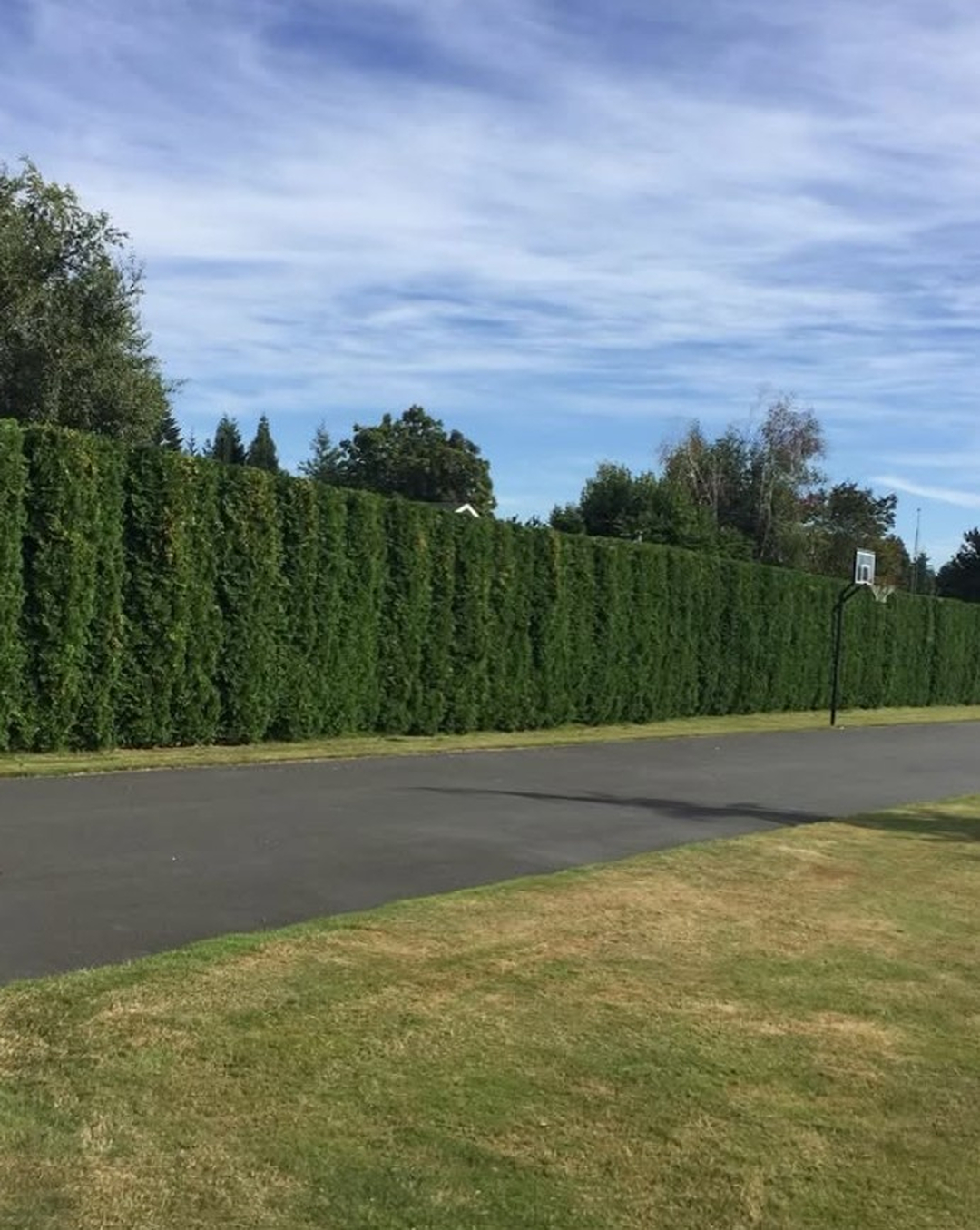 Efficient Irrigation for Healthier Landscapes
