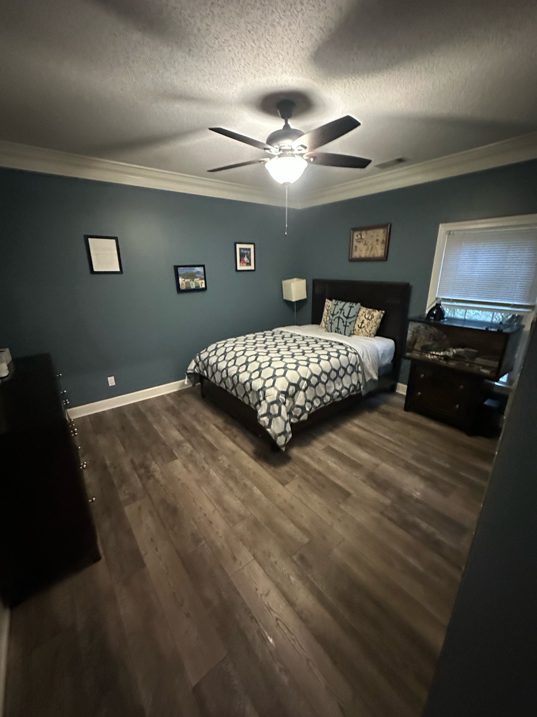 Pet Area Cleaning (Cat Litter Boxes) photo