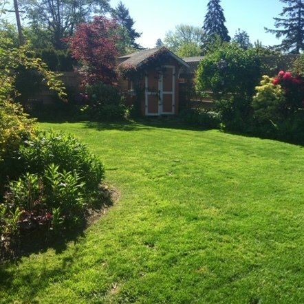 Crisp Edges for Lawns and Beds