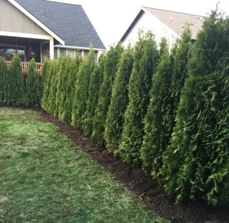 Custom Landscape Design for Any Property